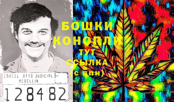 гидра Дмитровск
