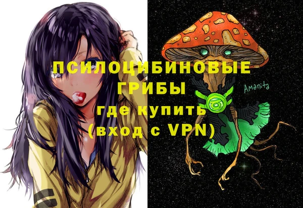 винт Дмитриев