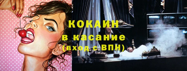 винт Дмитриев