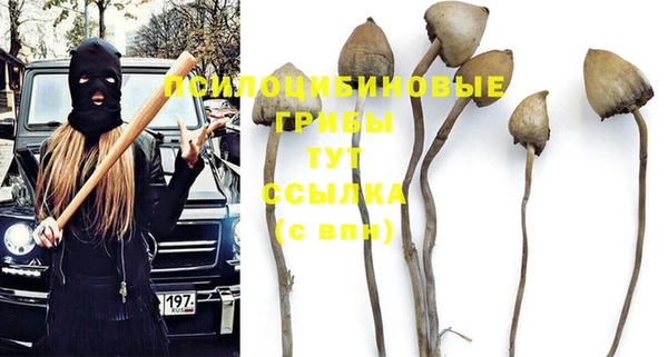 винт Дмитров