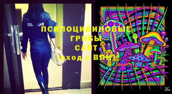 винт Дмитров
