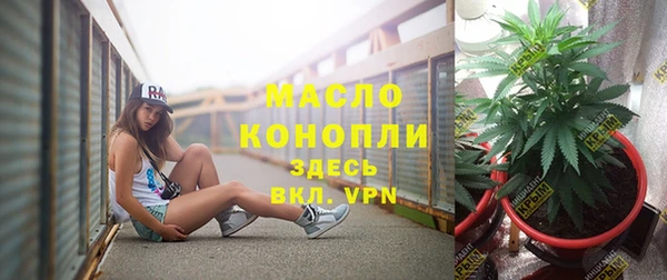 винт Дмитров