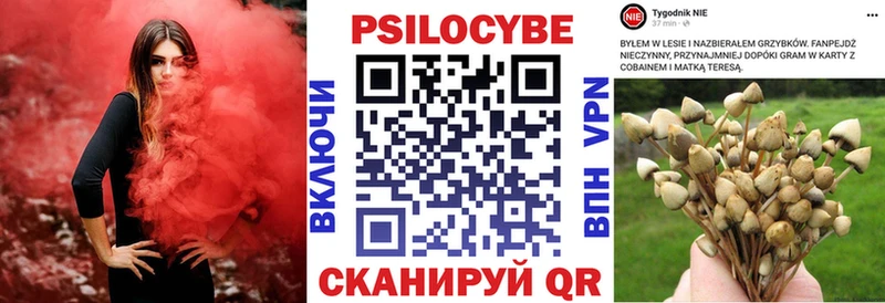 как найти закладки  Юхнов  Псилоцибиновые грибы мухоморы 